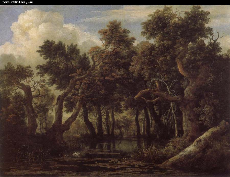 Jacob van Ruisdael Marsh in a Forest